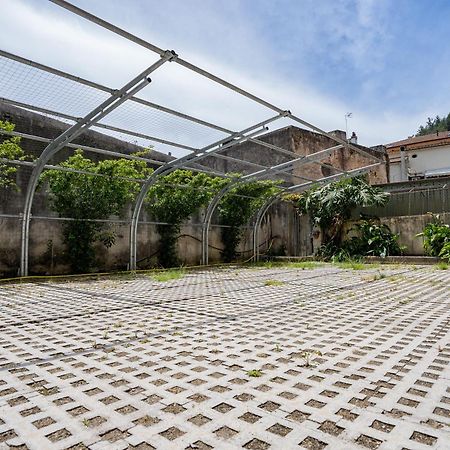 Giselle Apartments Maiori - Amalfi Coast Exterior photo